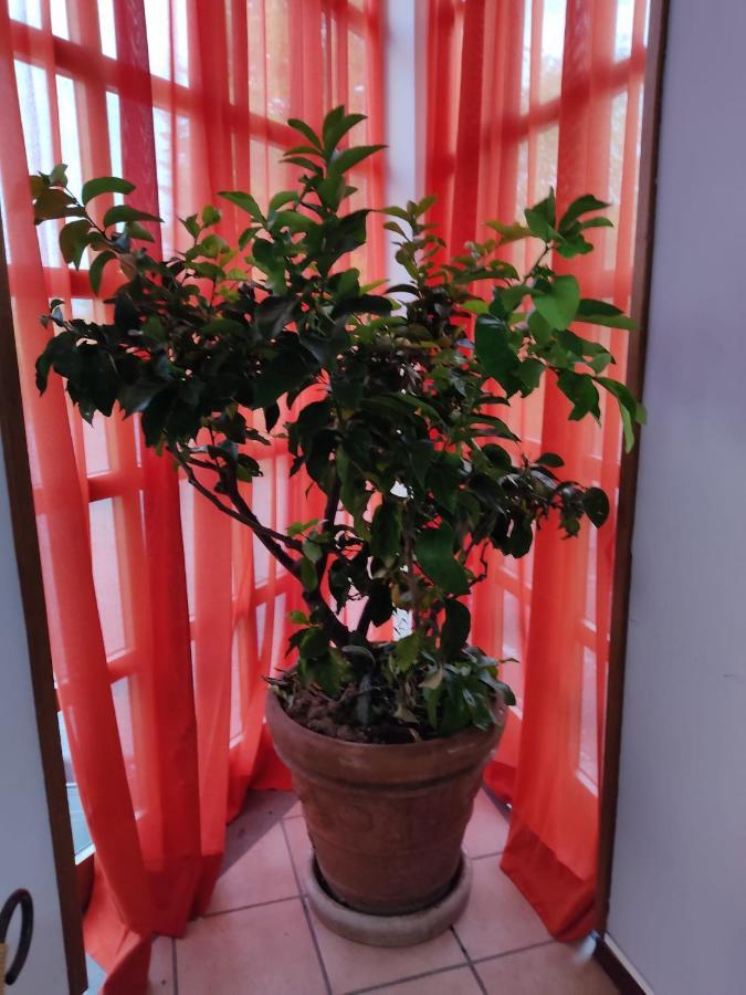 Hotel La Vela Castelnuovo Rangone 外观 照片